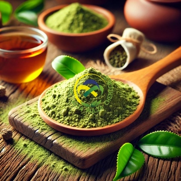 Matcha Green Tea Extract