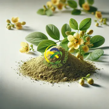 Sigesbeckia Orientalis Extract