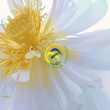 White Flower Complex