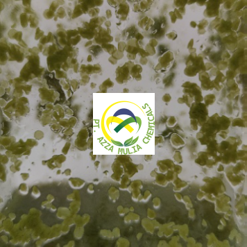 Petals SF Green 405S01